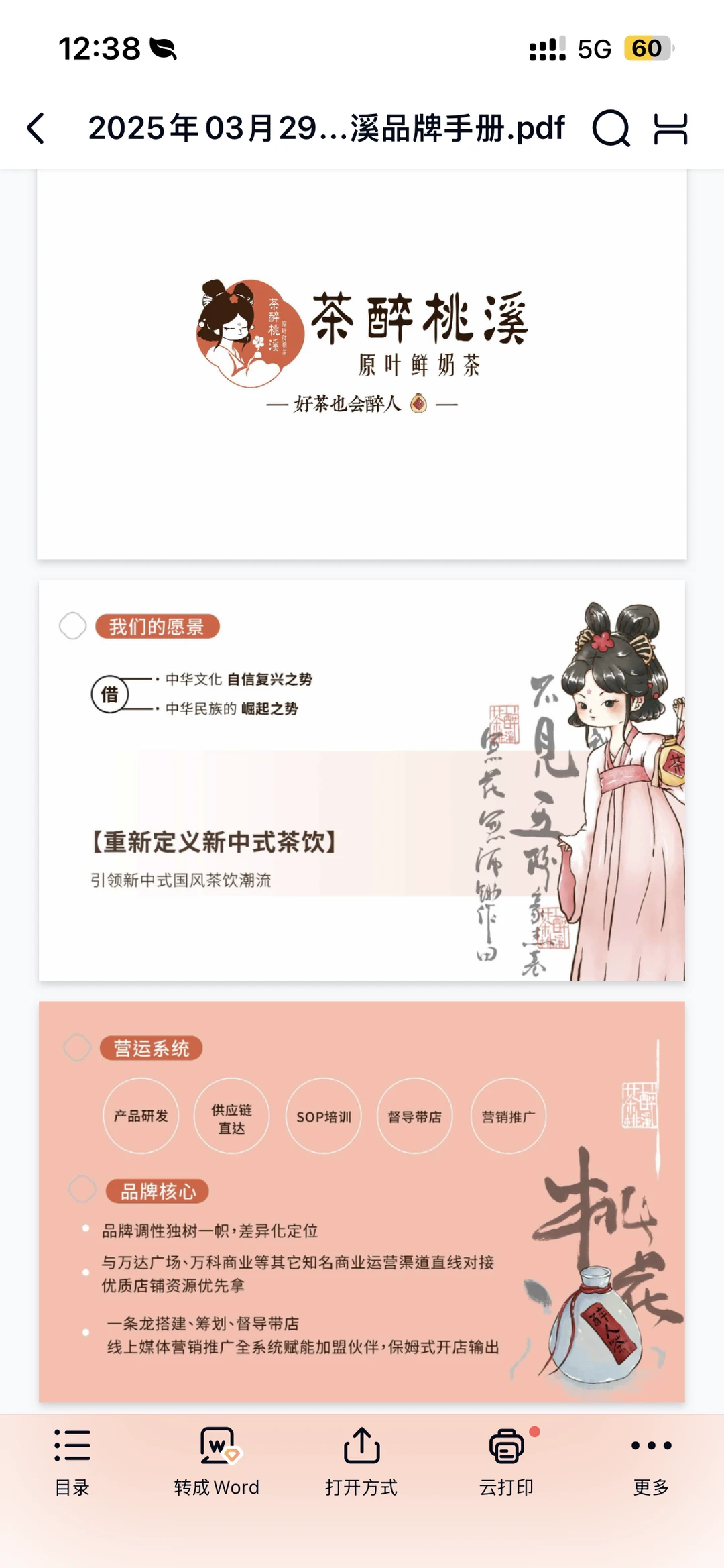 茶醉桃溪品牌手册