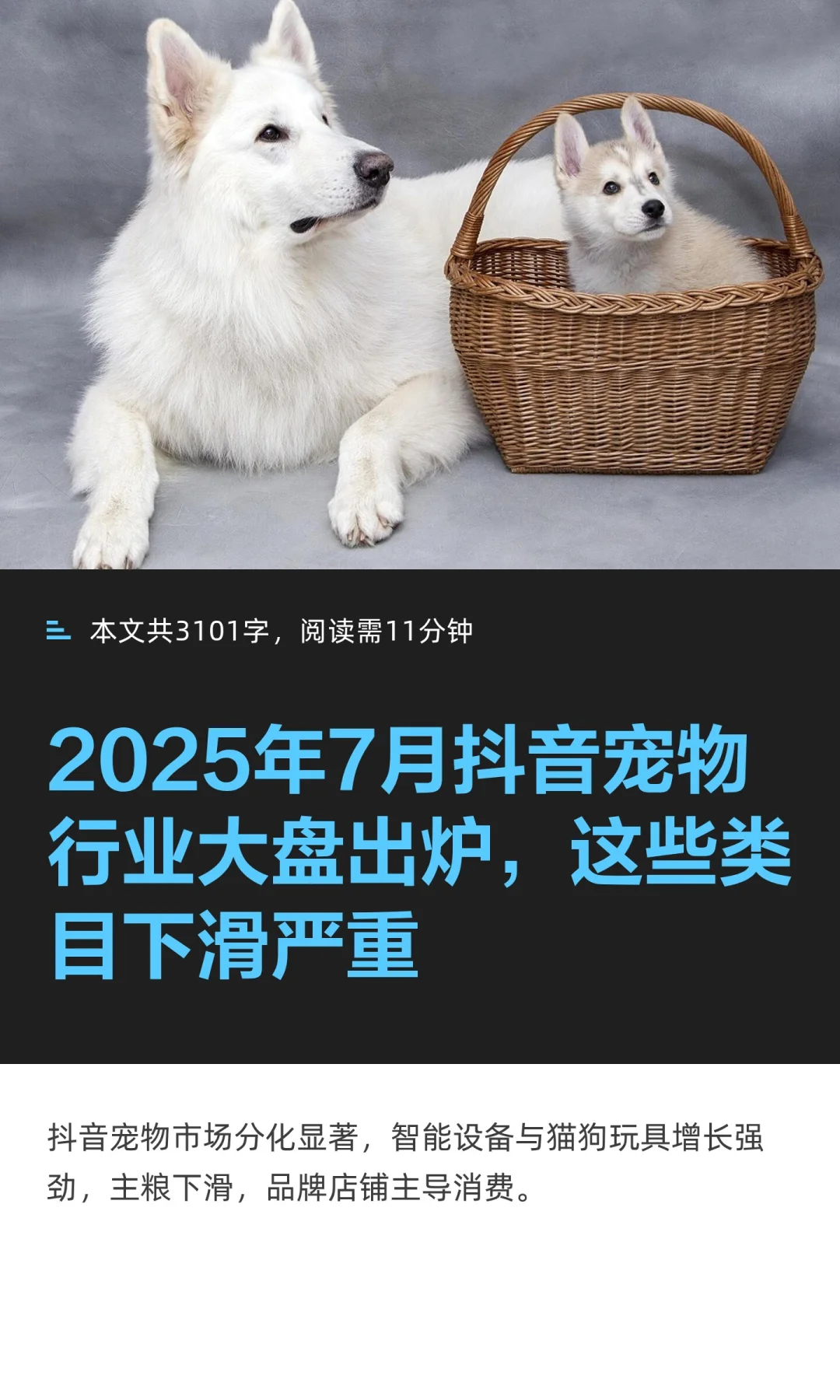 2025年7月抖音宠物行业大盘出炉，这些类目