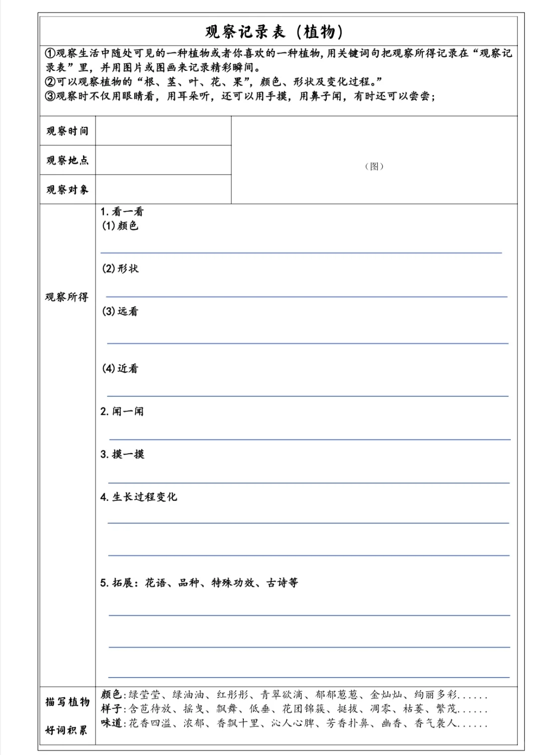 我眼中的缤纷世界