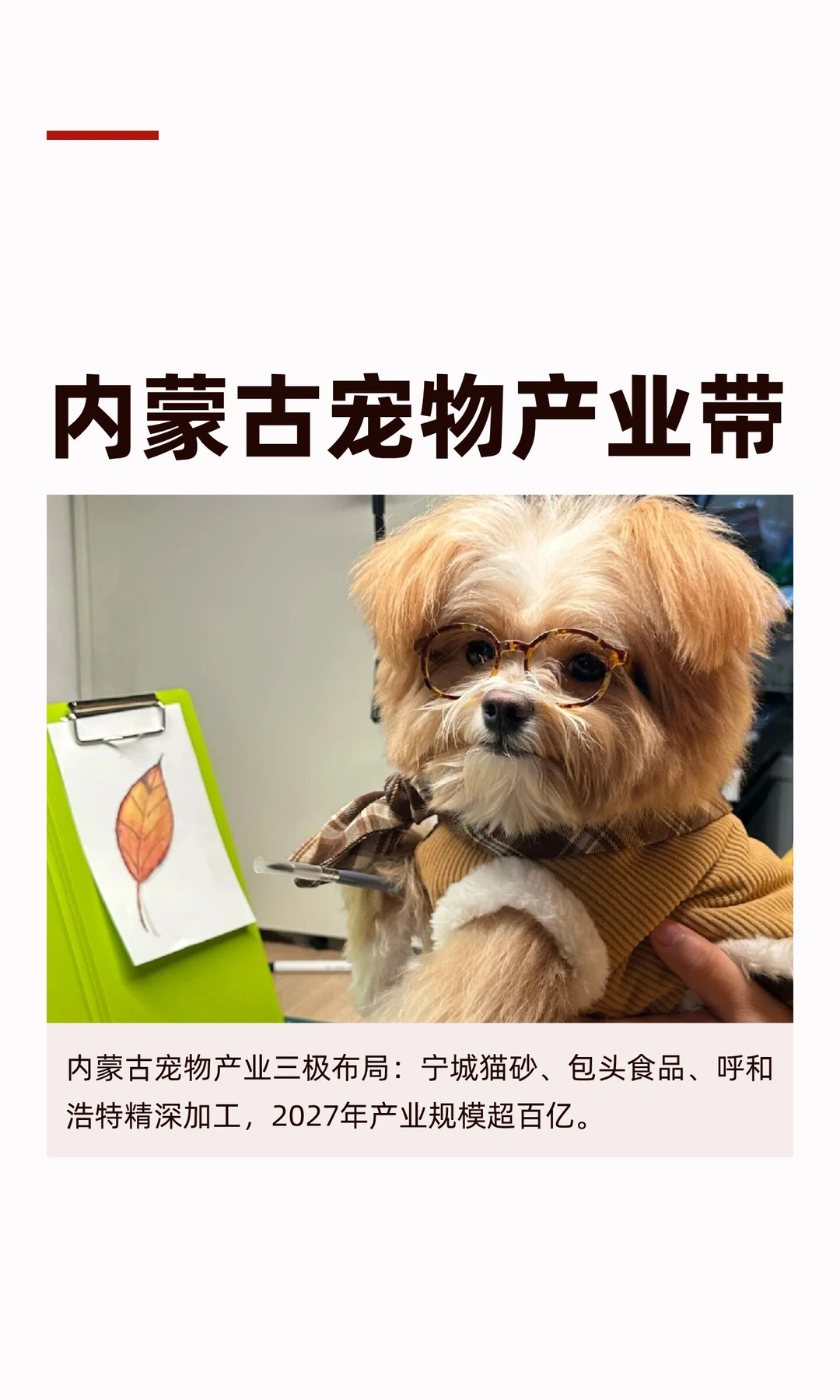 内蒙古宠物产业带