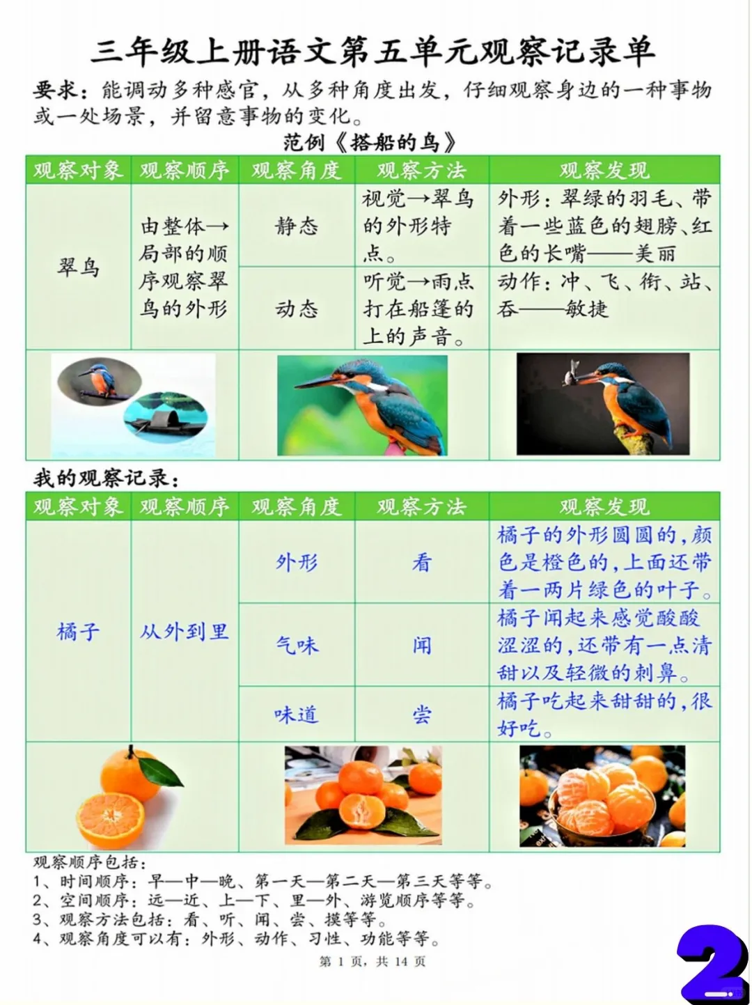 三上语文，观察记录单，看这里！