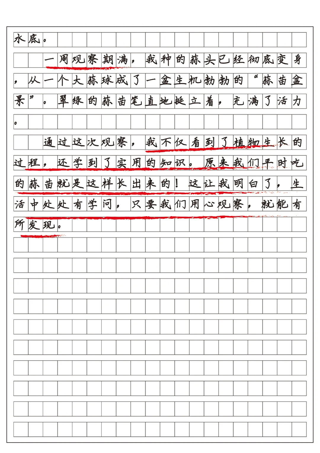 四上习作三观察日记范文