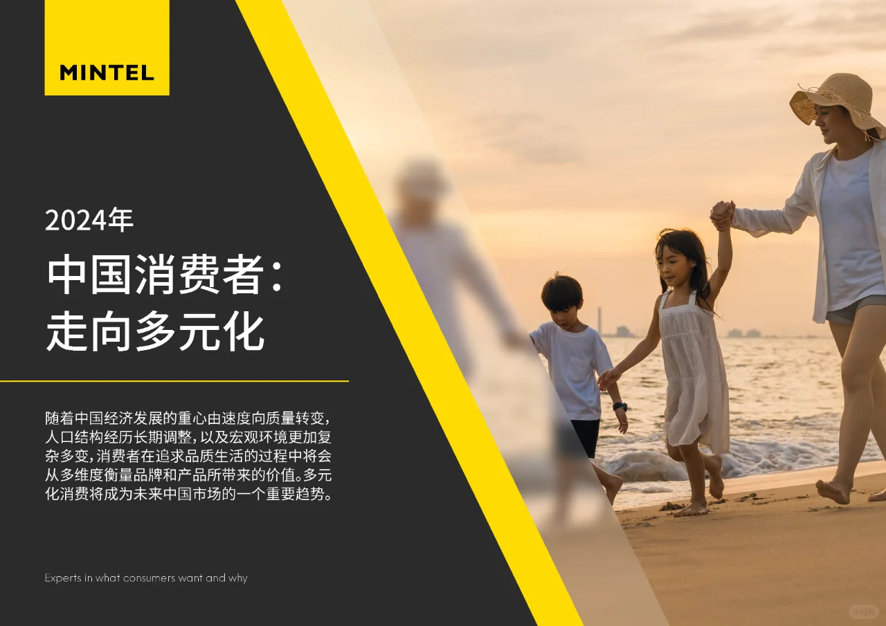 2024年中国消费者报告:多元化消费