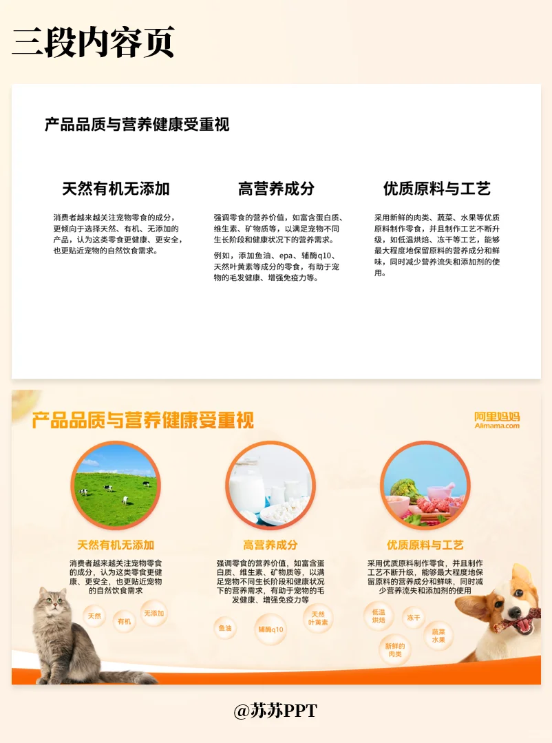 宠物行业调研报告PPT