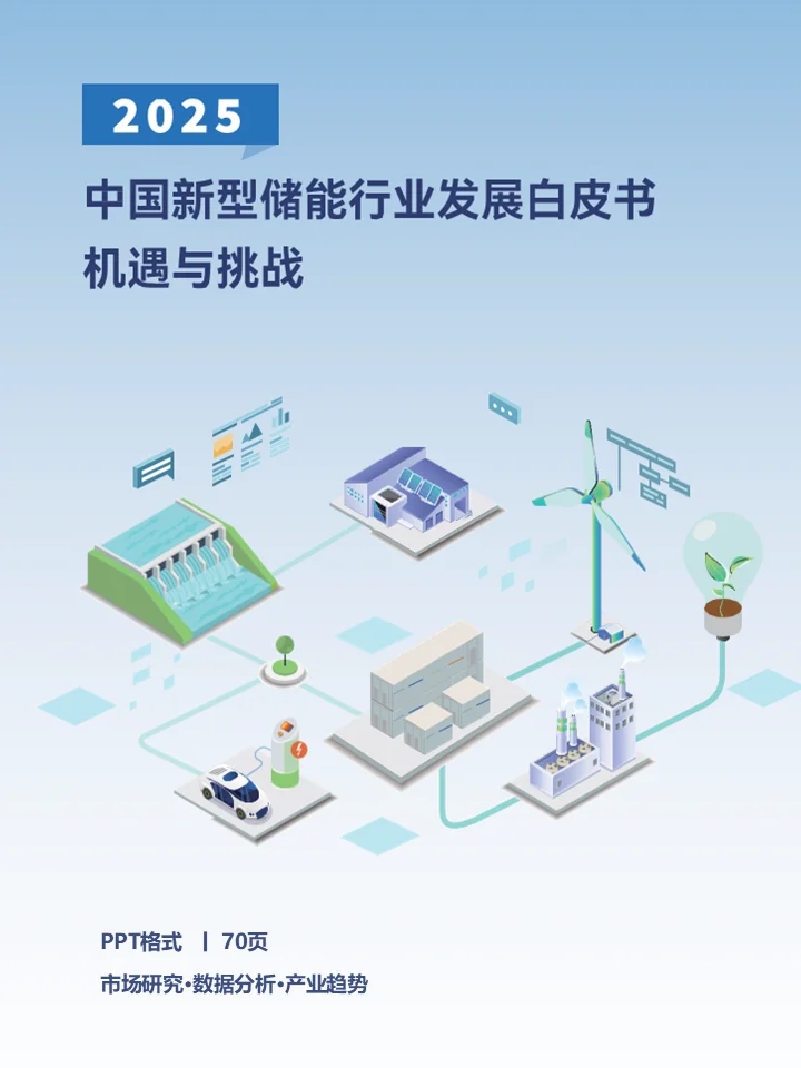 2025中国新型储能行业发展白皮书机遇与挑战