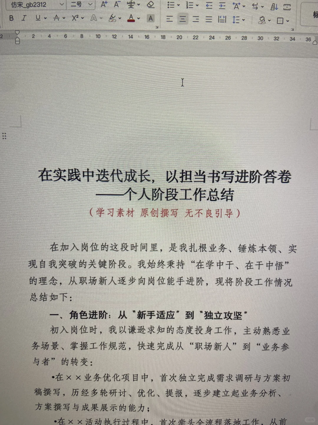 个人阶段工作总结：在实践中迭代成长