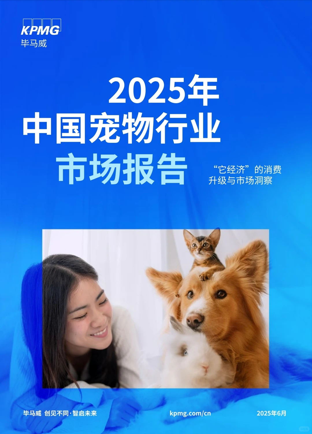 ?它经济宠物经济宠物行业报告PDF下载