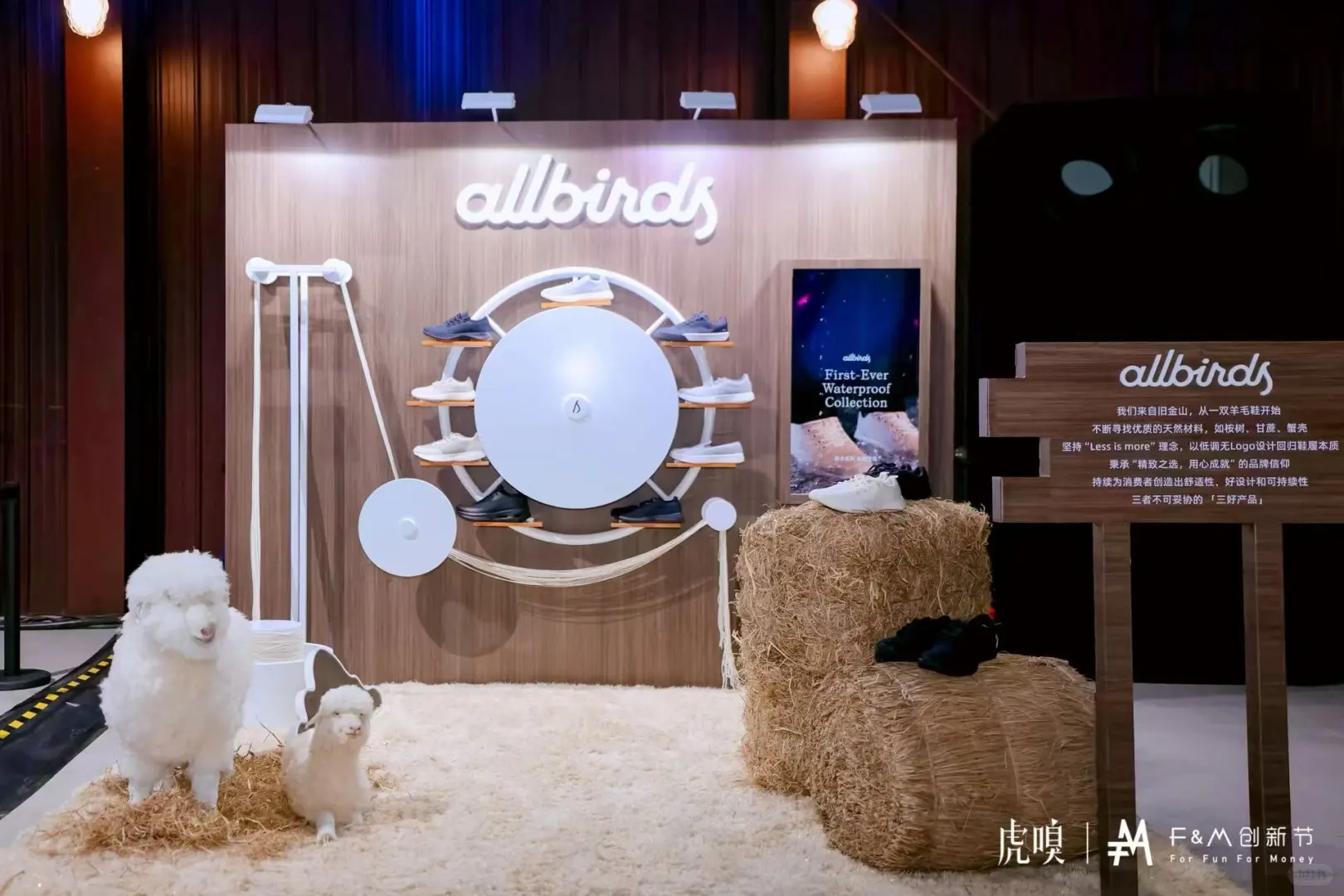 与 Allbirds 迈入可持续未来