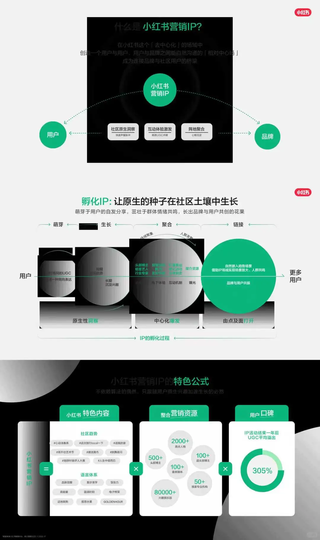 ?种草营销｜2026小红书营销IP通案