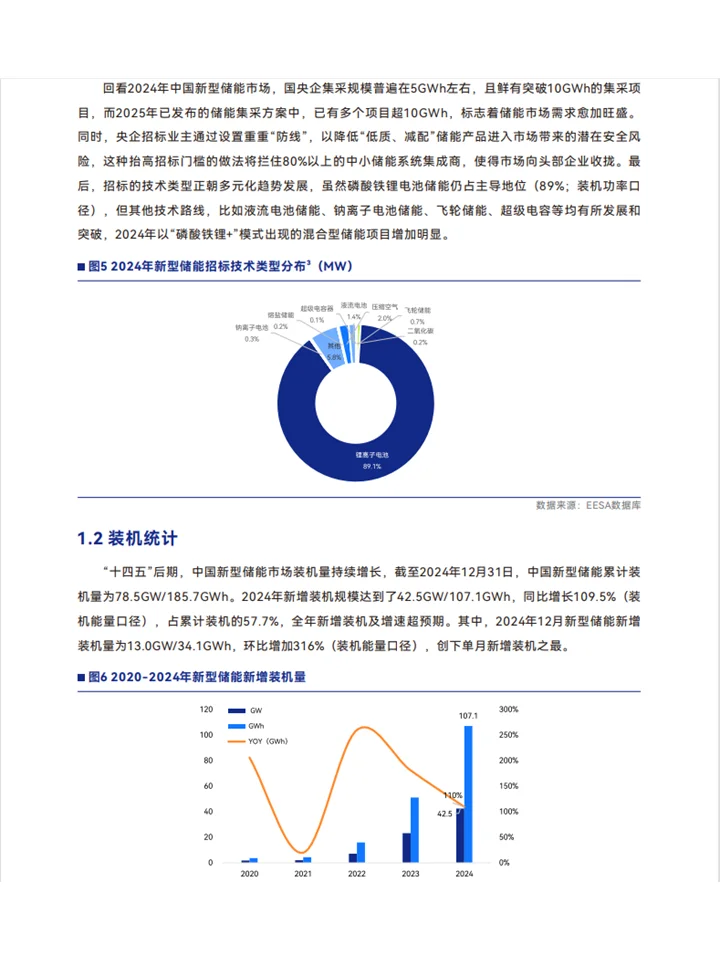 2025中国新型储能行业发展白皮书机遇与挑战