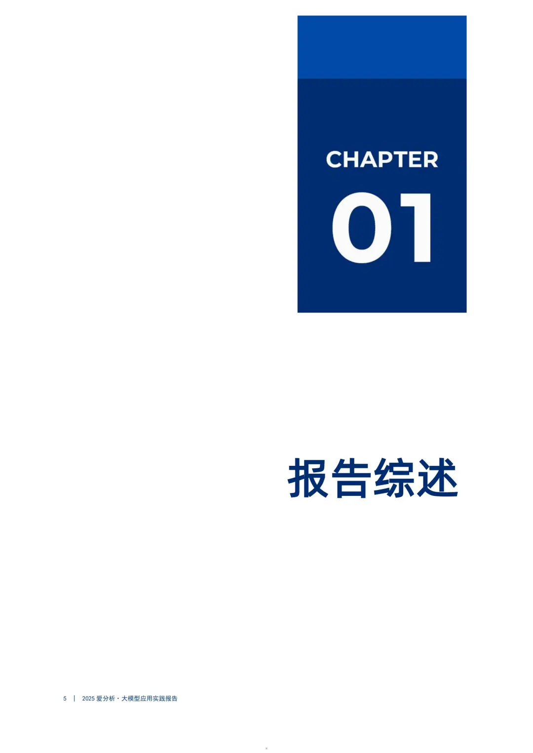 2025大模型应用实践报告