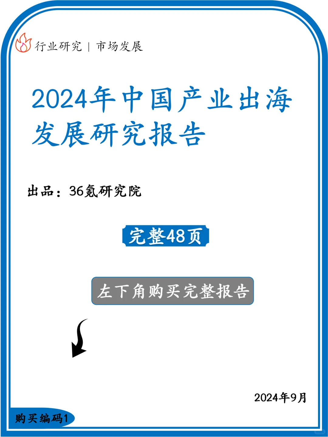 2024年中国产业出海发展研究报告