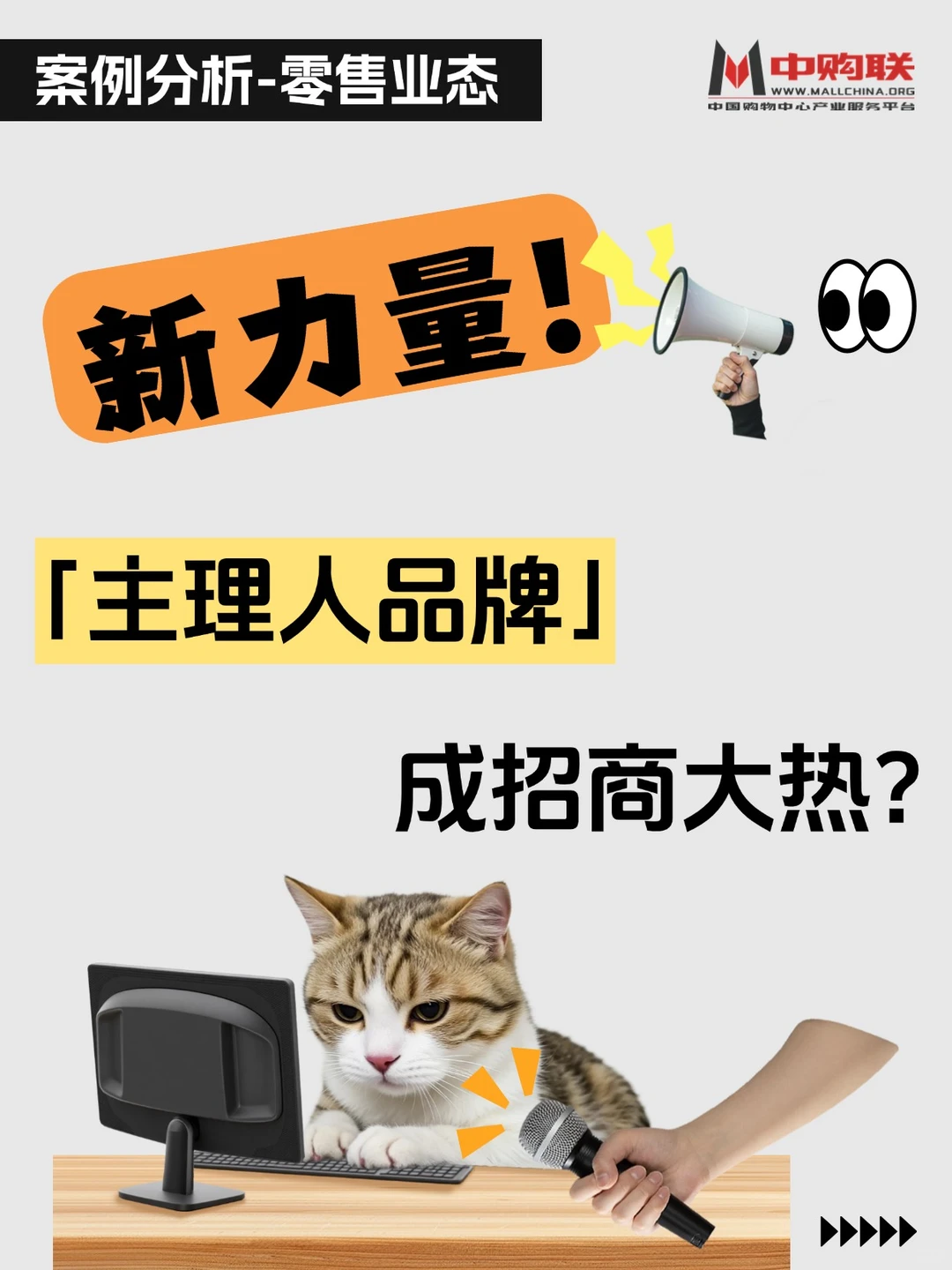 案例分析|【主理人品牌】的独特魅力