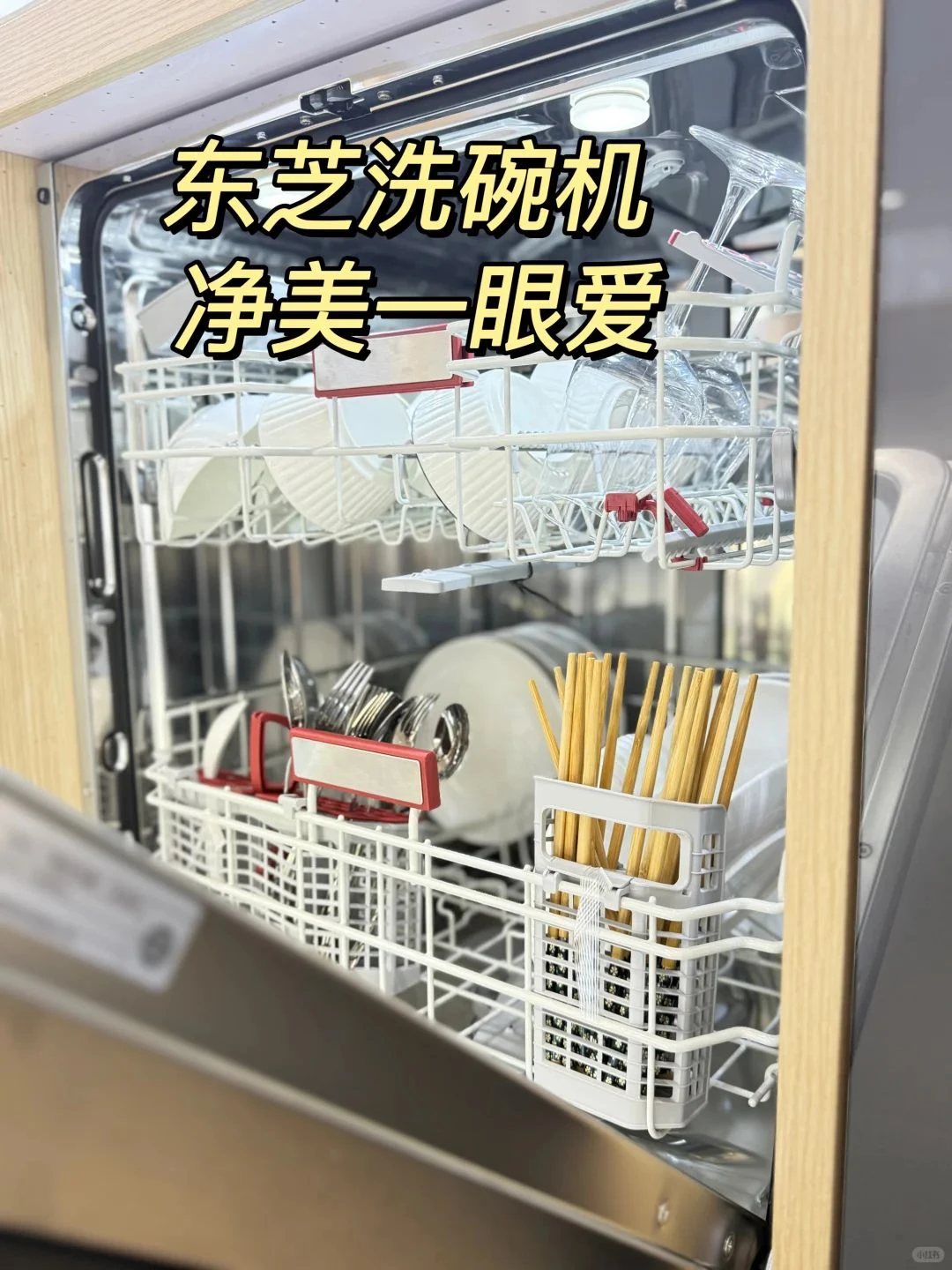 洗碗机深度用户半年报告