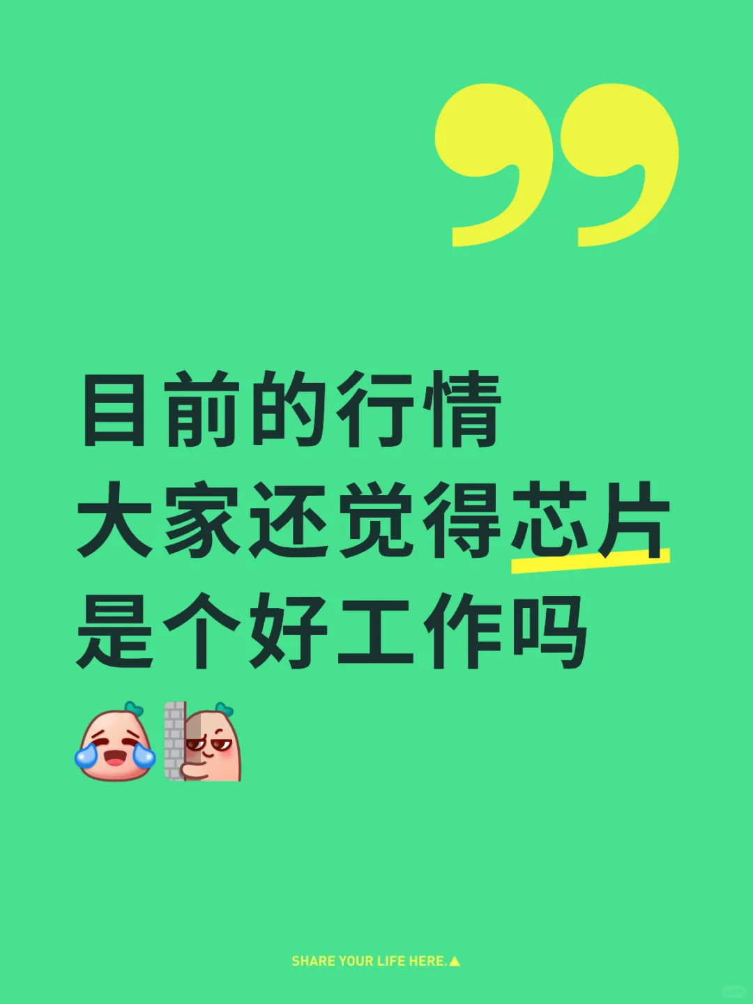 芯片行业找工作