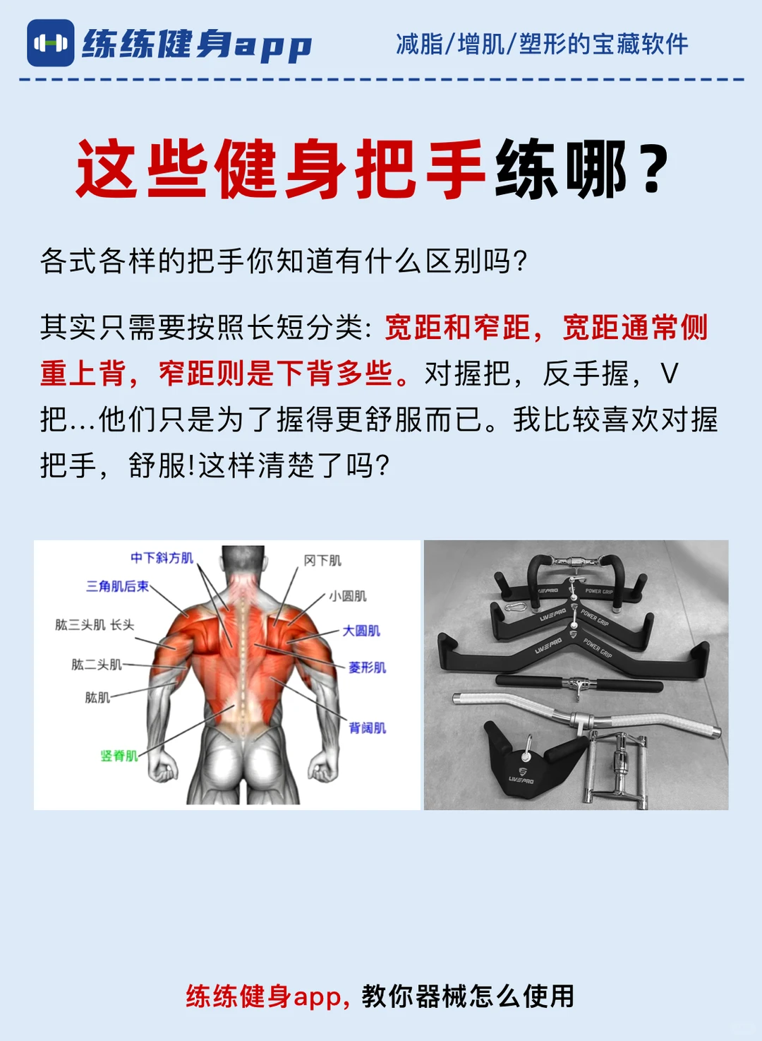 新手必看！这些健身把手练哪？后悔没早点看