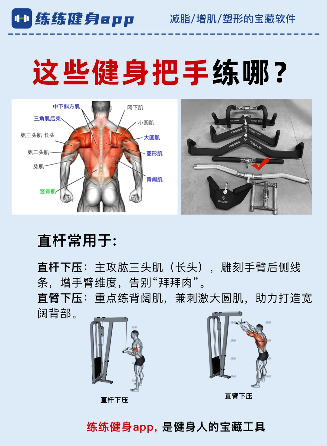 新手必看！这些健身把手练哪？后悔没早点看