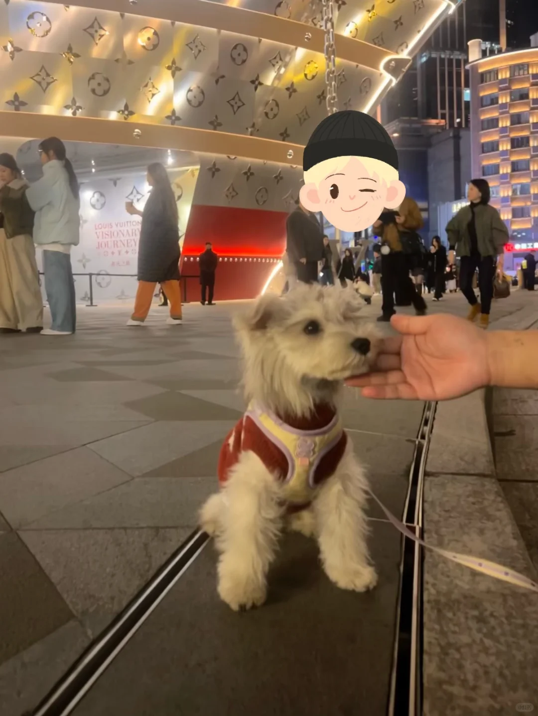 他们默默养活了一条你看不见的产业链