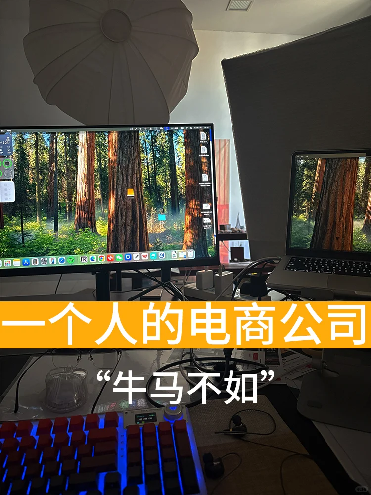 一个人做电商！为了梦想！