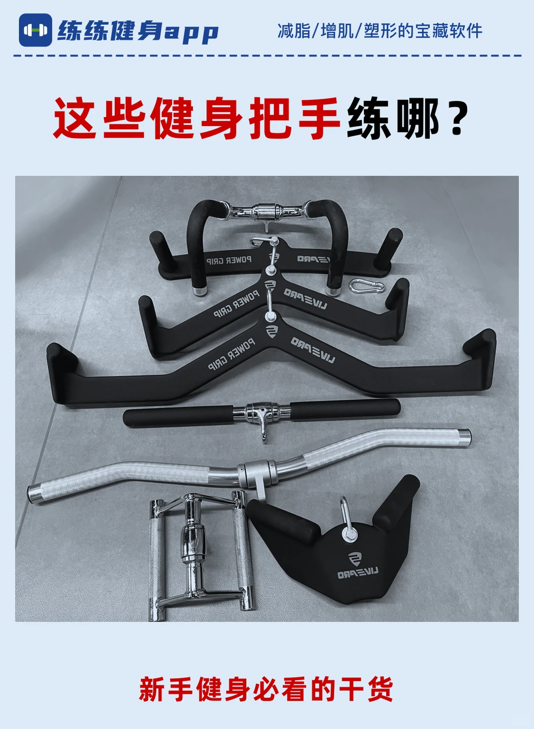新手必看！这些健身把手练哪？后悔没早点看