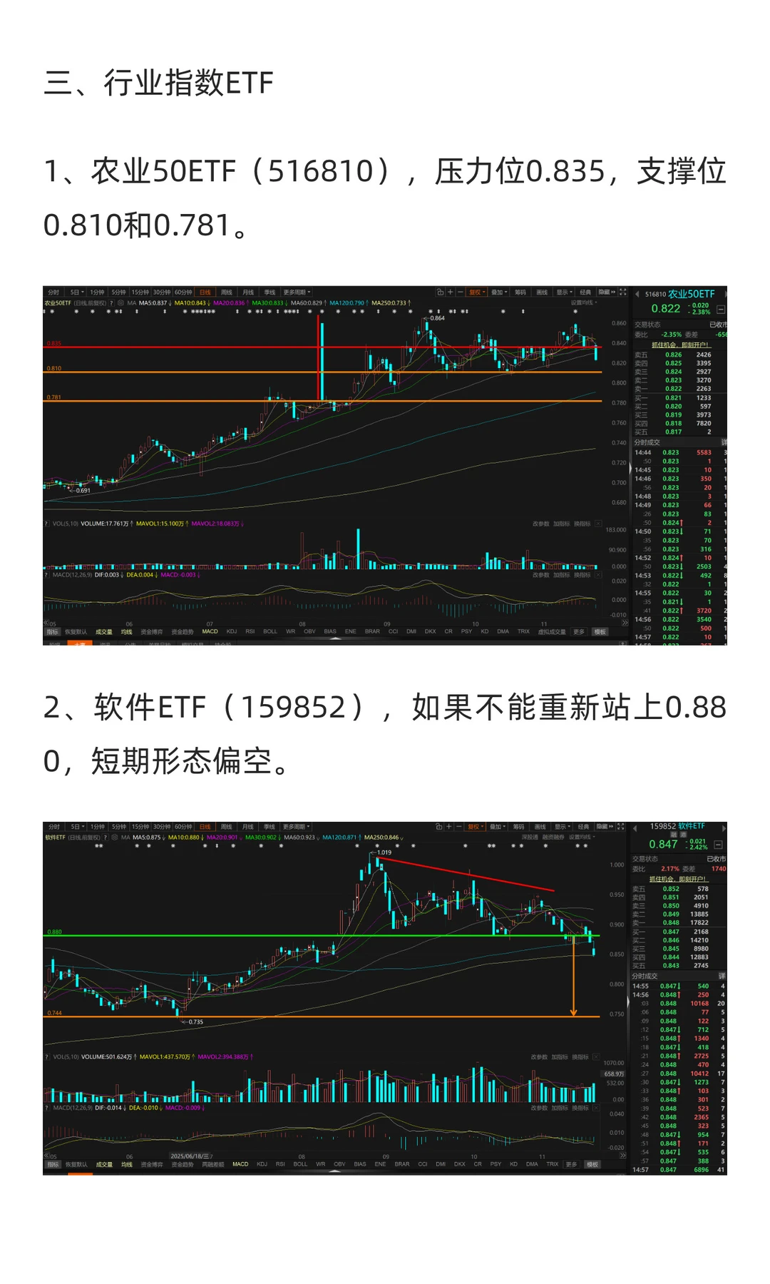 11月24日-11月28日市场展望（2025年）