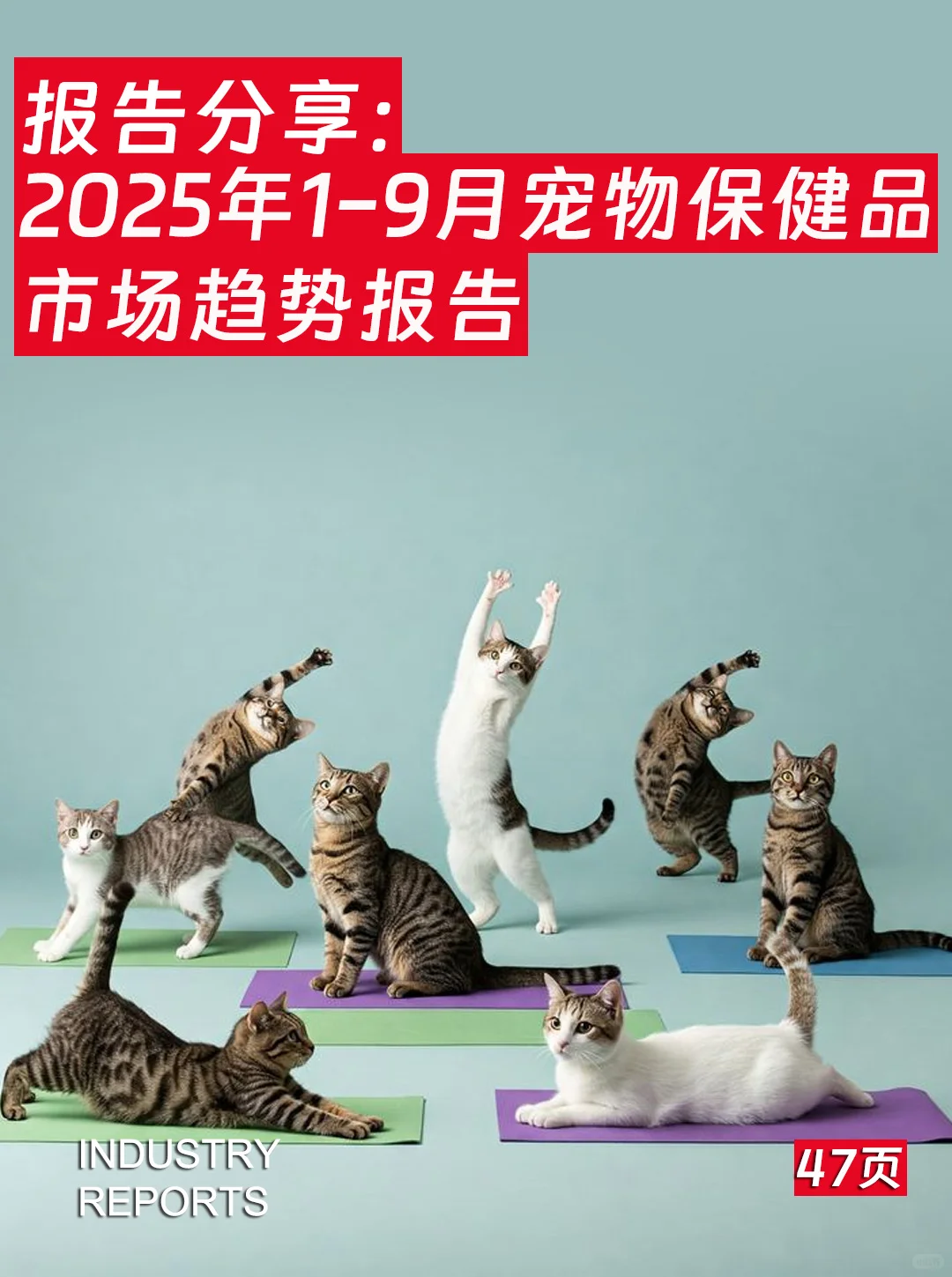 47页|2025年1-9月宠物保健品市场趋势报告