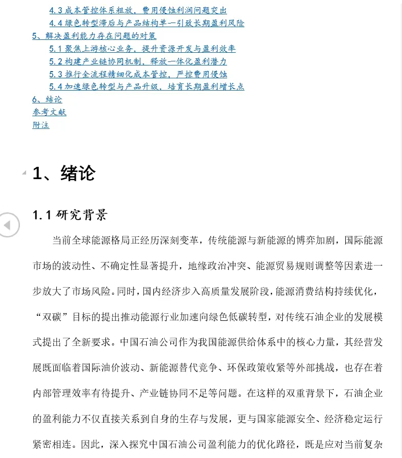 2020-2024中国石油公司盈利能力优化策略研