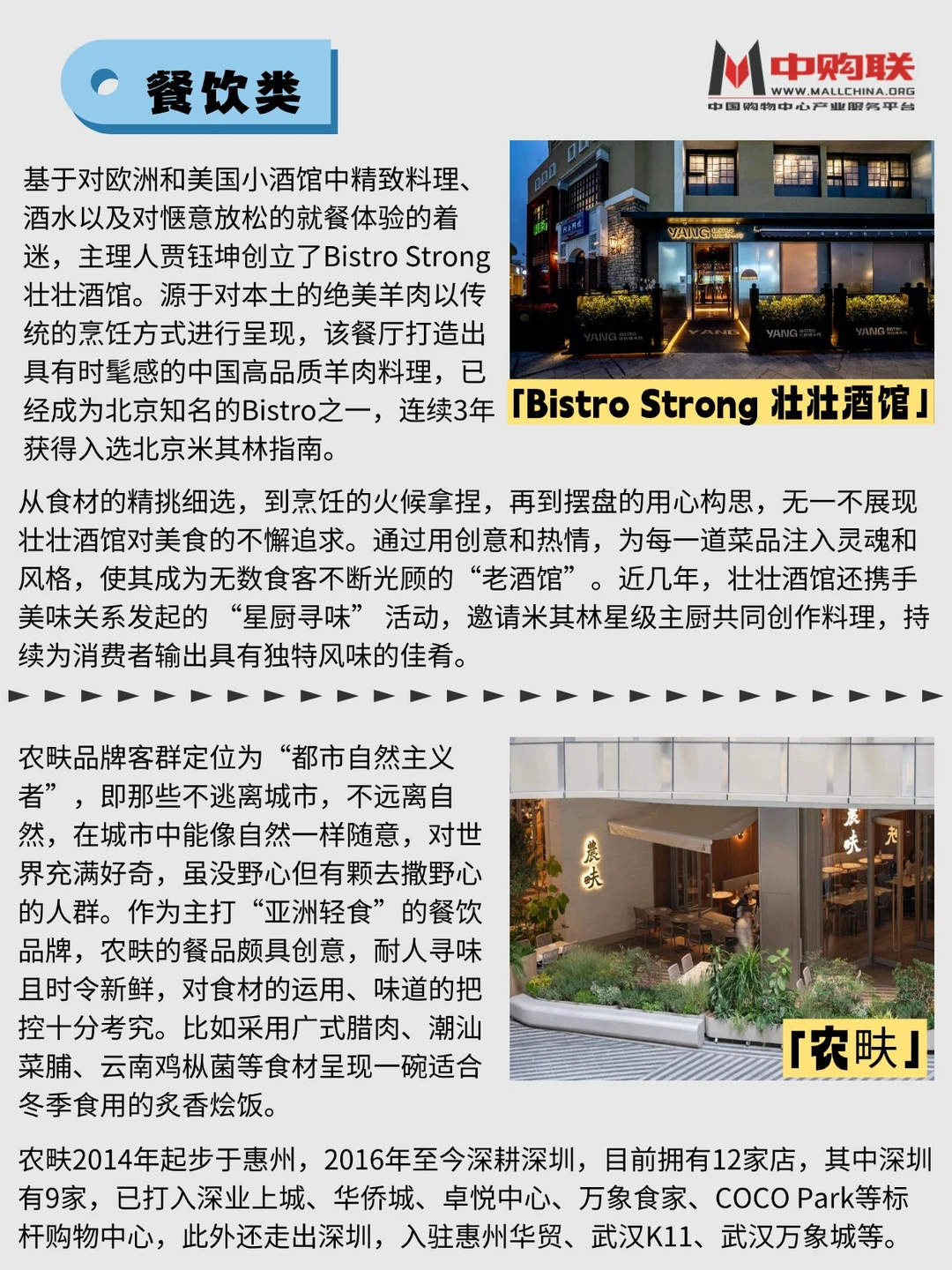 案例分析|【主理人品牌】的独特魅力