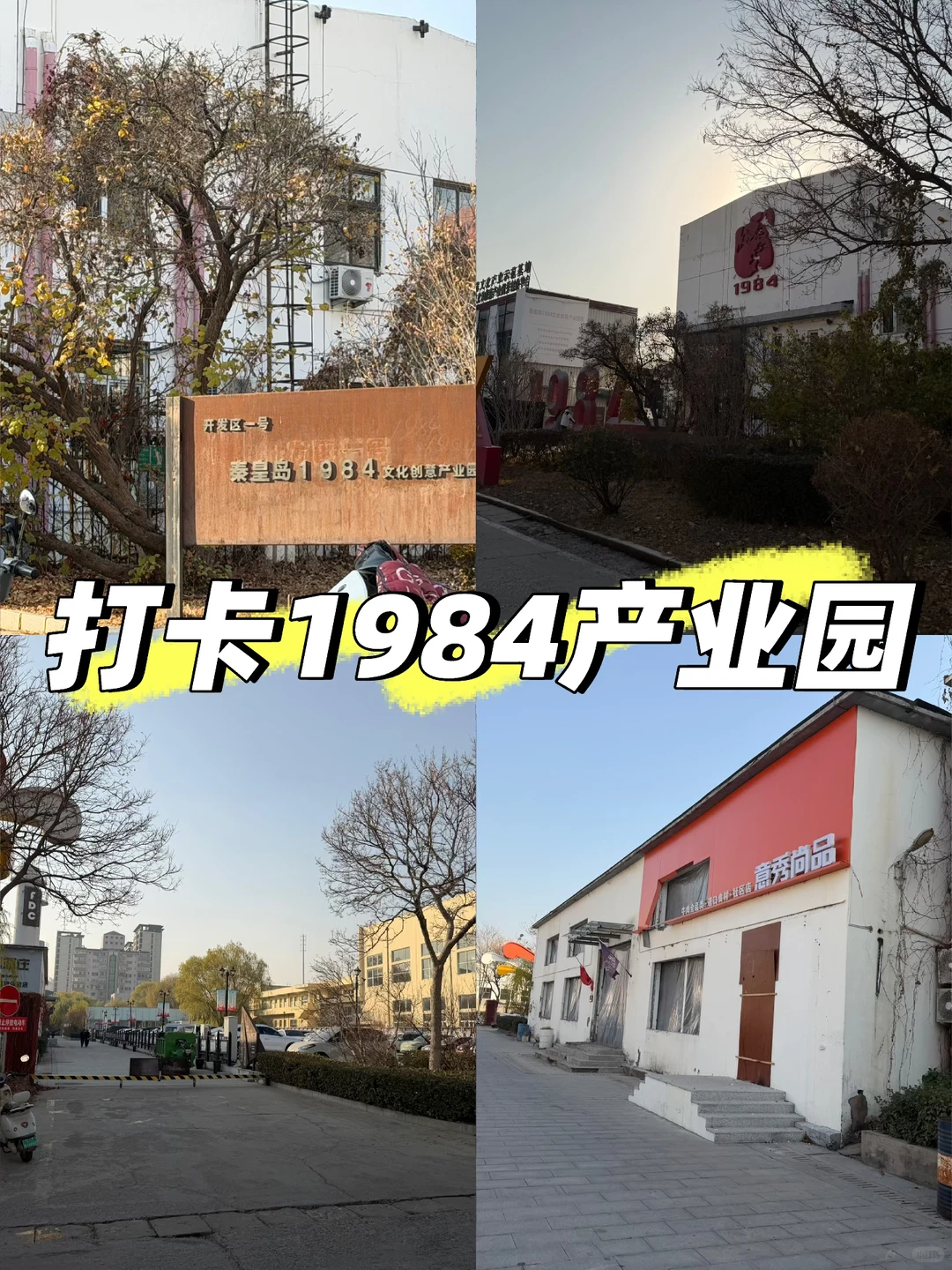 打卡1984文化产业园