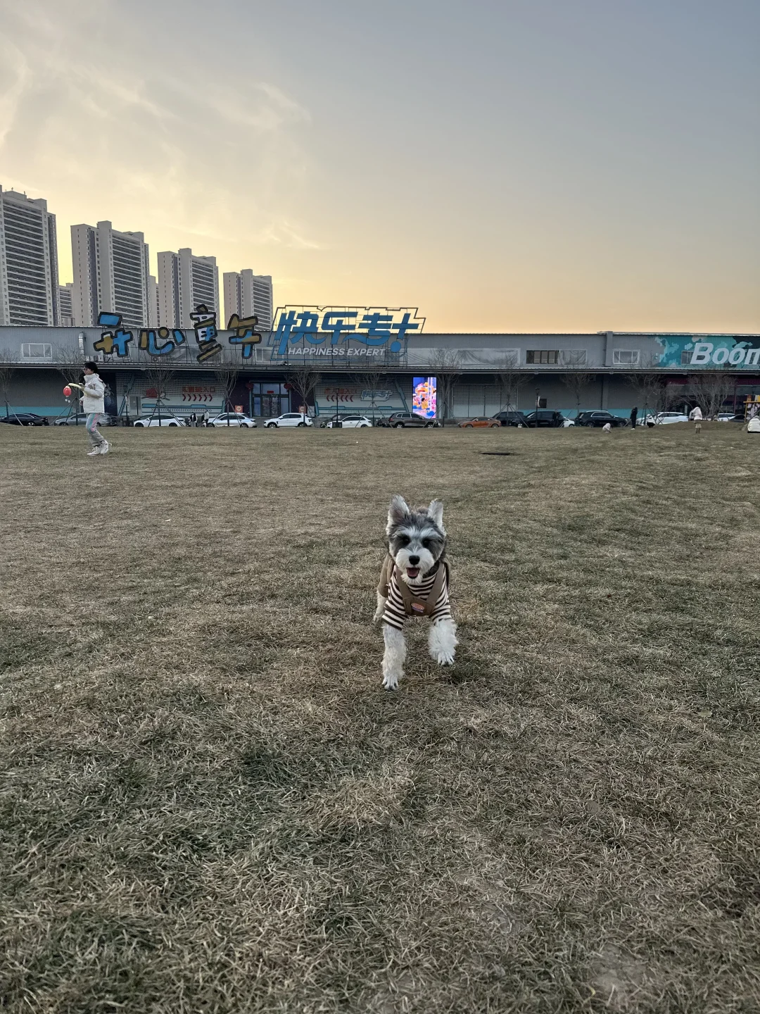 粮仓｜宠物友好‼️交友推荐❣️沈阳小阿那亚！