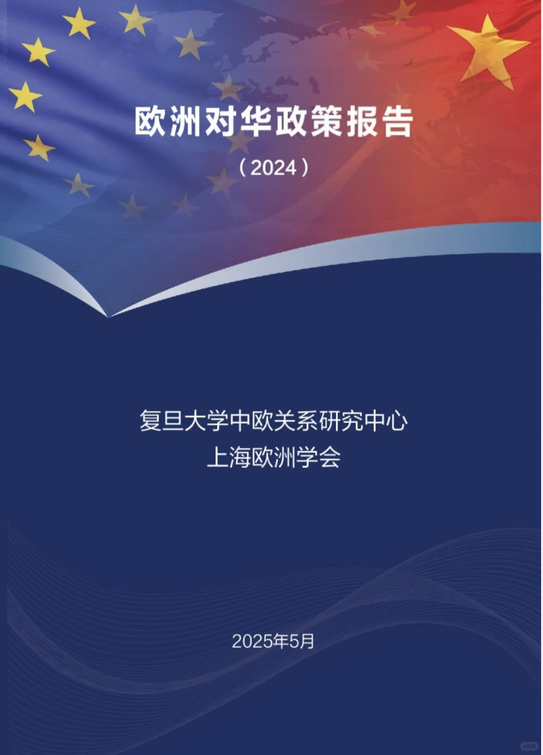 欧洲对华政策报告 （2024）