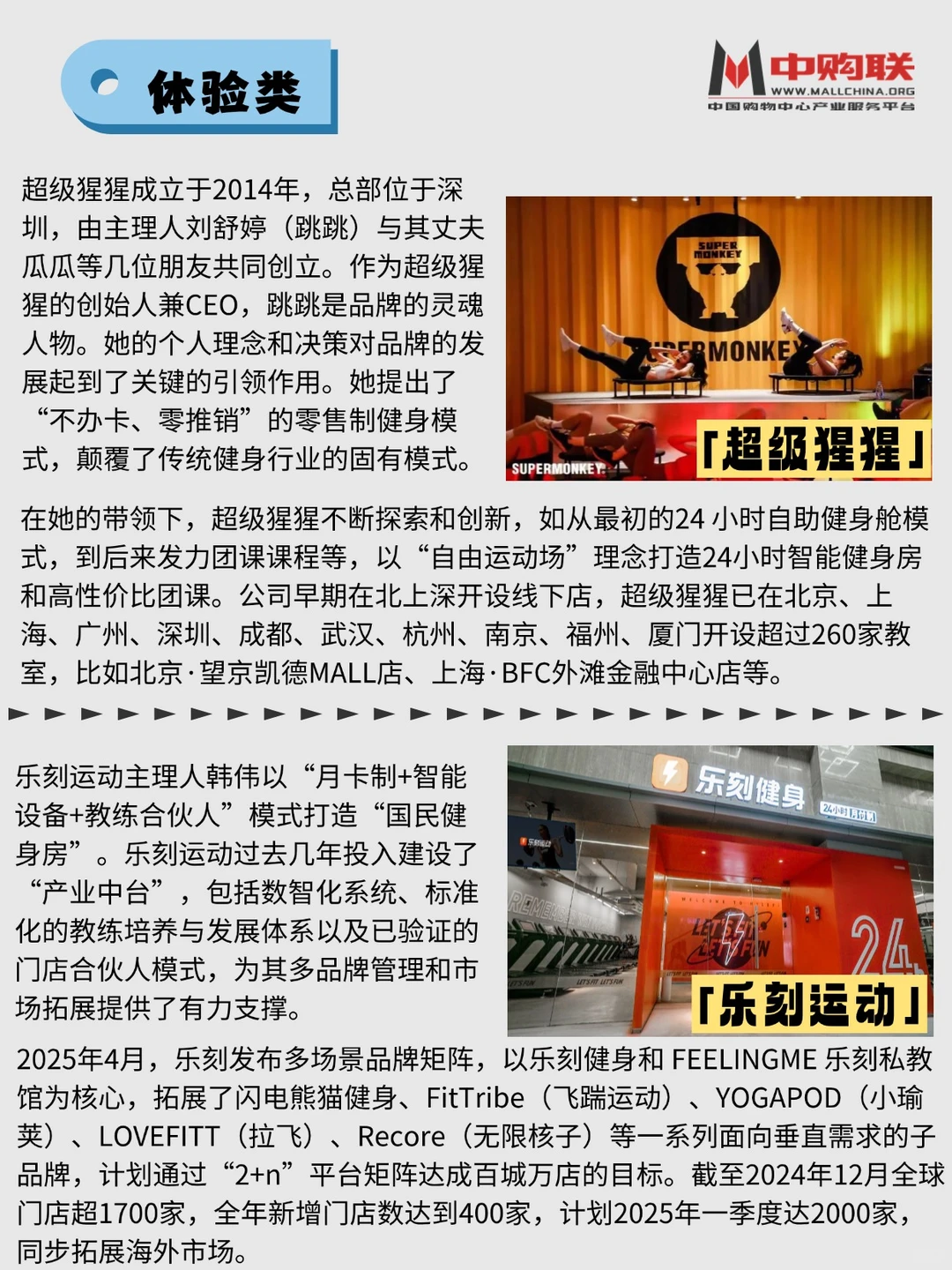案例分析|【主理人品牌】的独特魅力