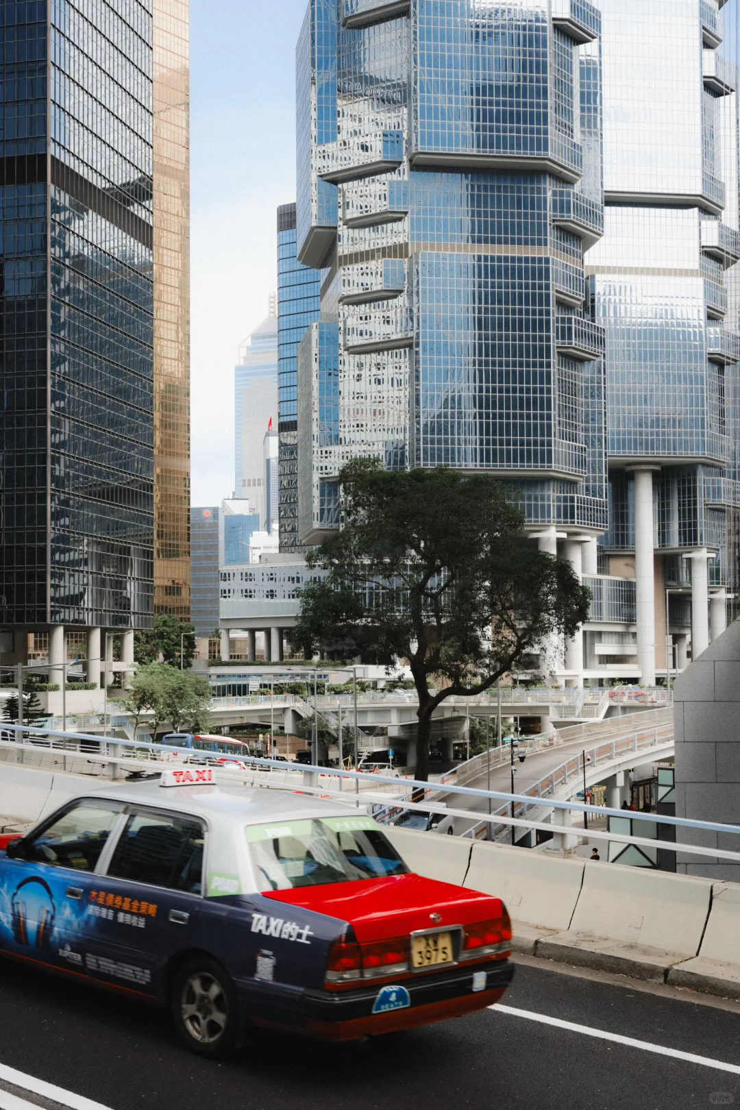 2025年，香港，经济下行时期的美感