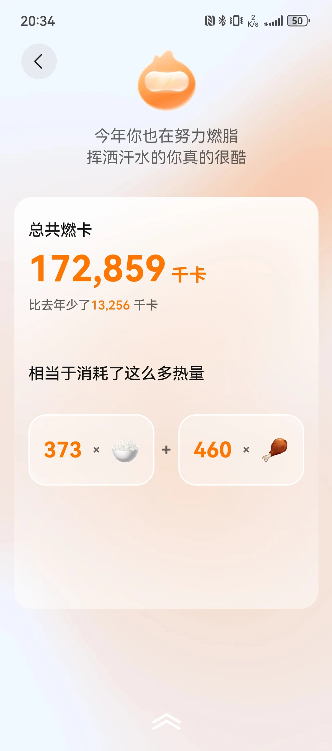 2024年度报告～华为运动健康年度报告