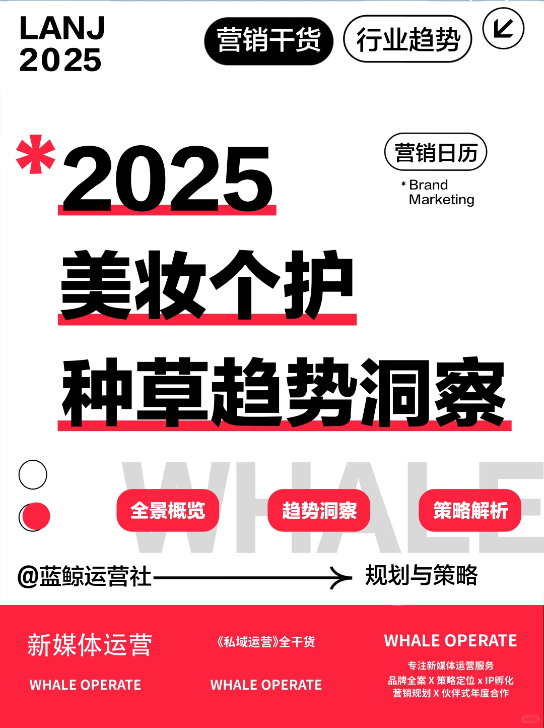 趋势洞察|美妆赛道:从精致修饰到内生美感