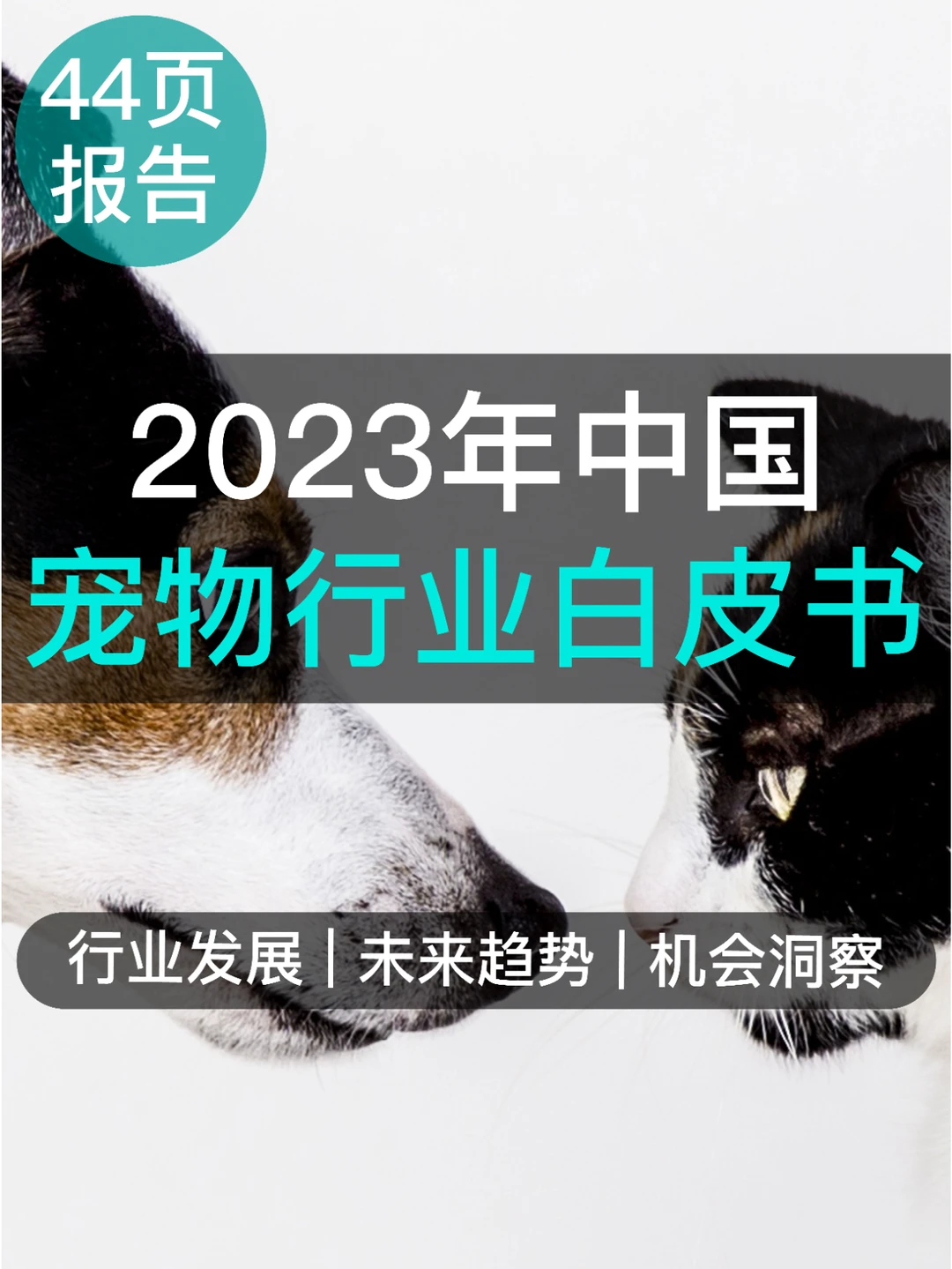 44页读懂2023年中国宠物行业白皮书
