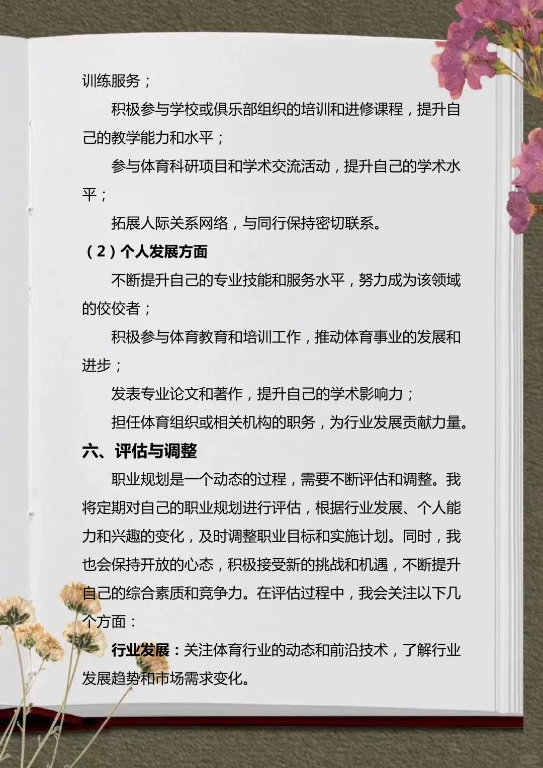 被导师夸爆的体育大学生职业生涯规划书