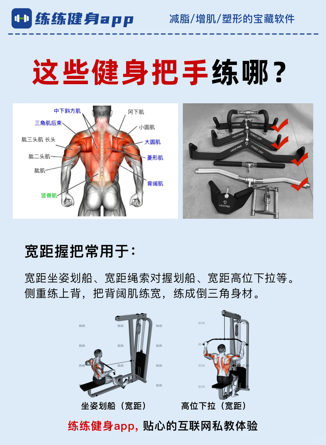 新手必看！这些健身把手练哪？后悔没早点看