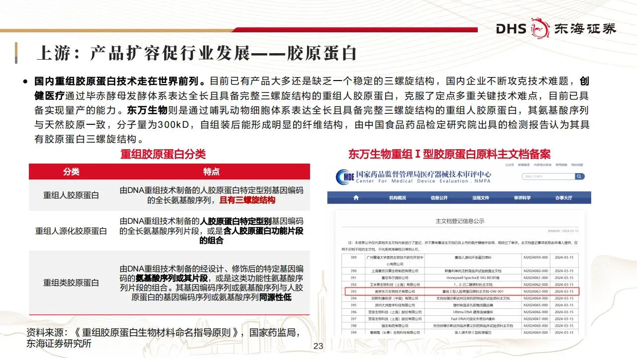 美容护理行业2025年投资策略