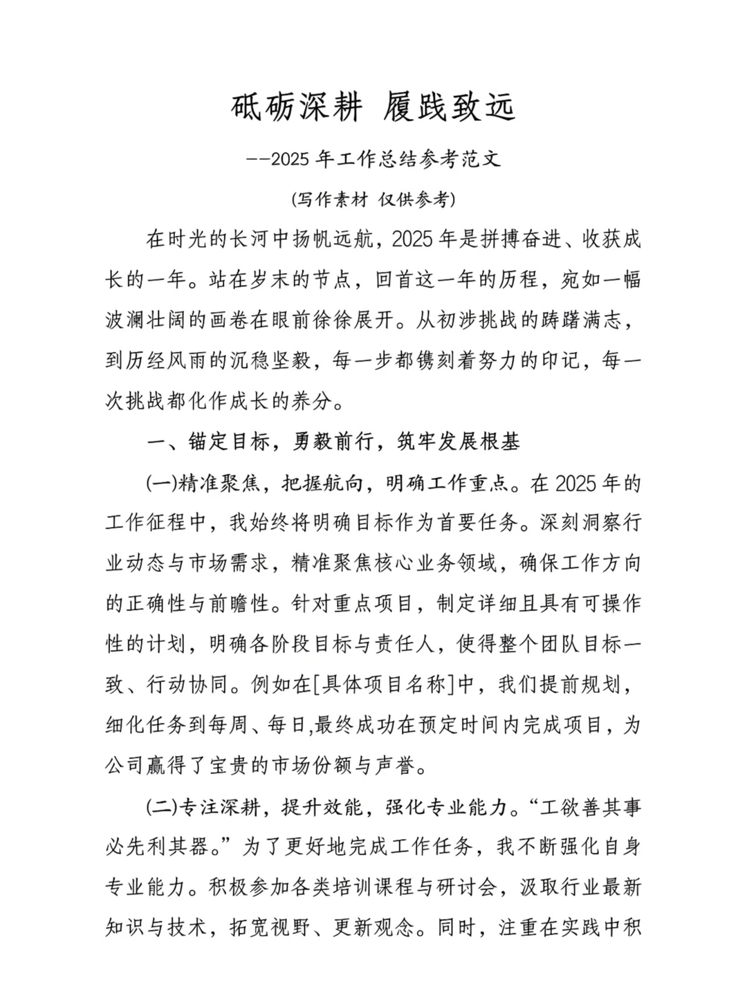 2025年工作总结:砥砺深耕 履践致远