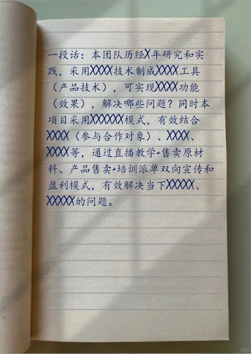 创赛《非遗产品》计划书拿奖模版