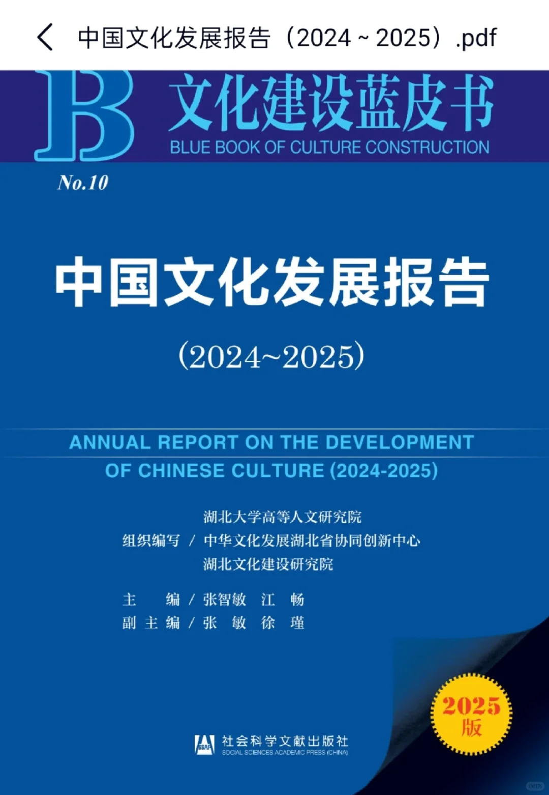 《中国文化发展报告（2024—2025)》