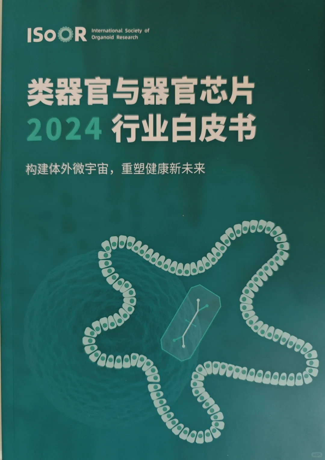 2024年类器官行业白皮书