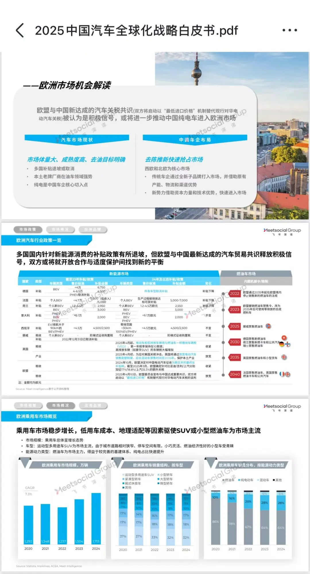 2025车企出海全景洞察，分区域，求职可看