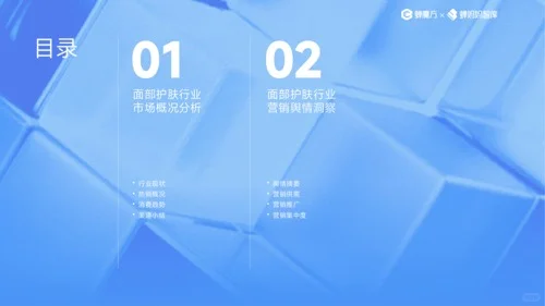 2025面部护肤行业研究分析