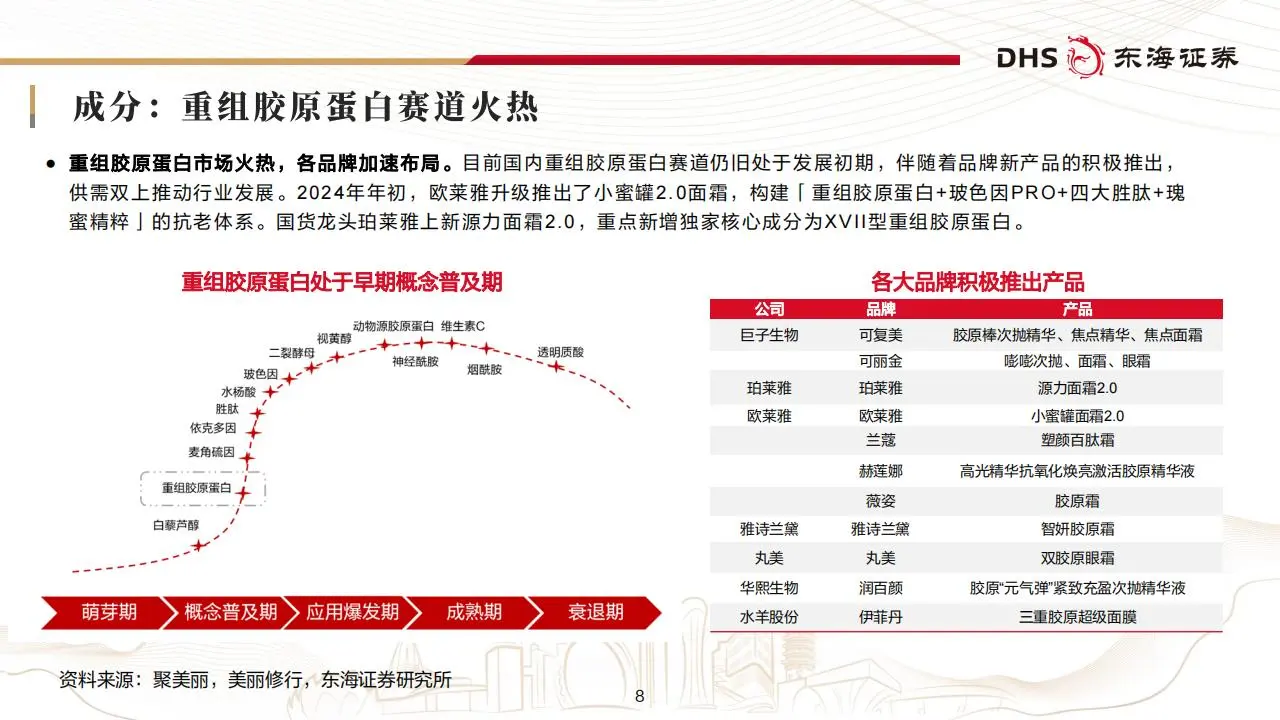 美容护理行业2025年投资策略