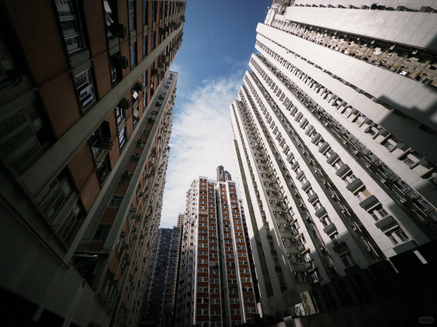 2025年，香港，经济下行时期的美感