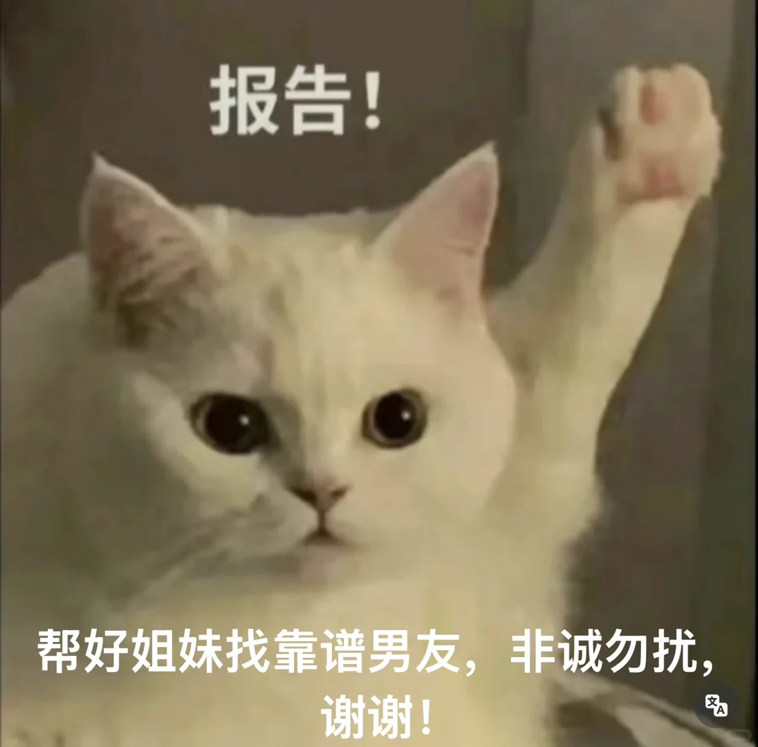 帮好姐妹寻靠谱队友