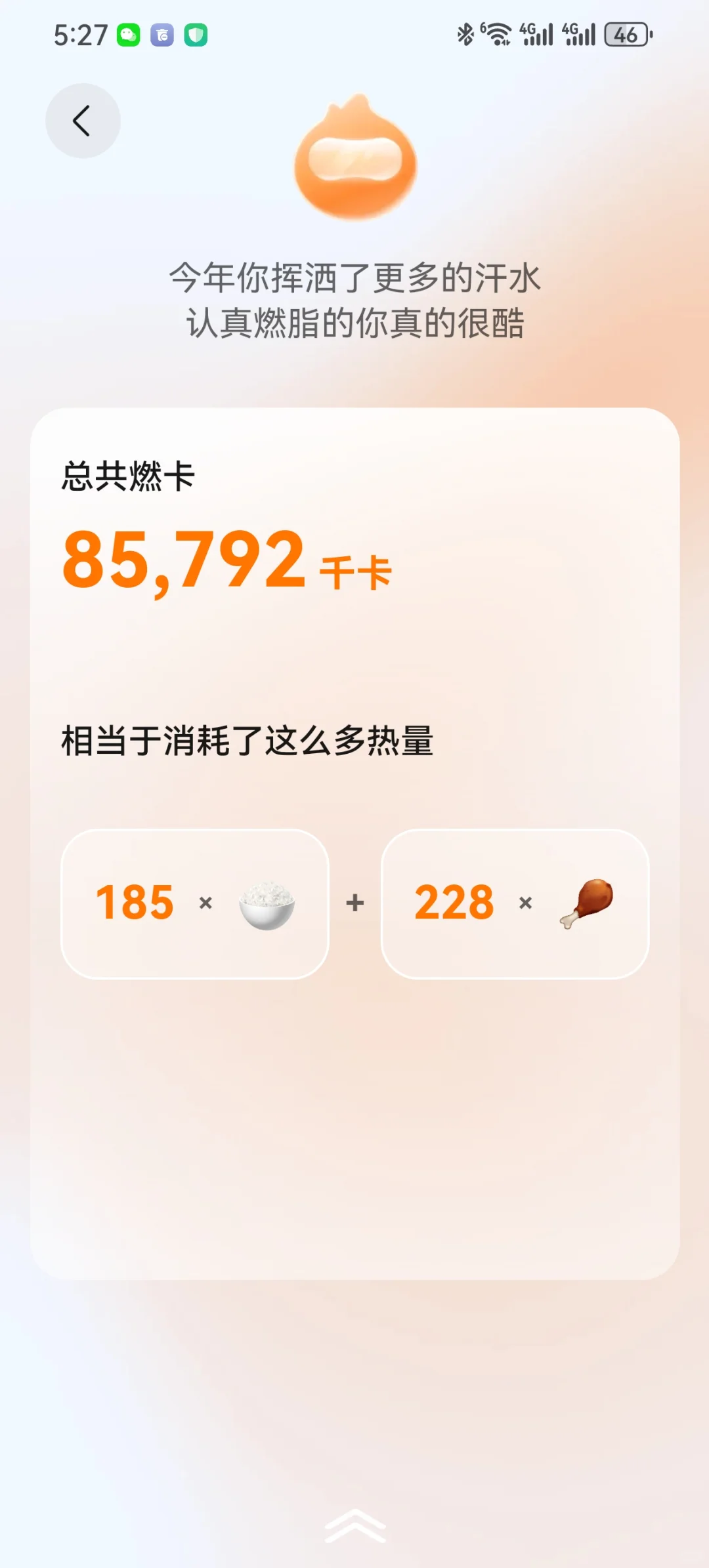 华为运动总报告