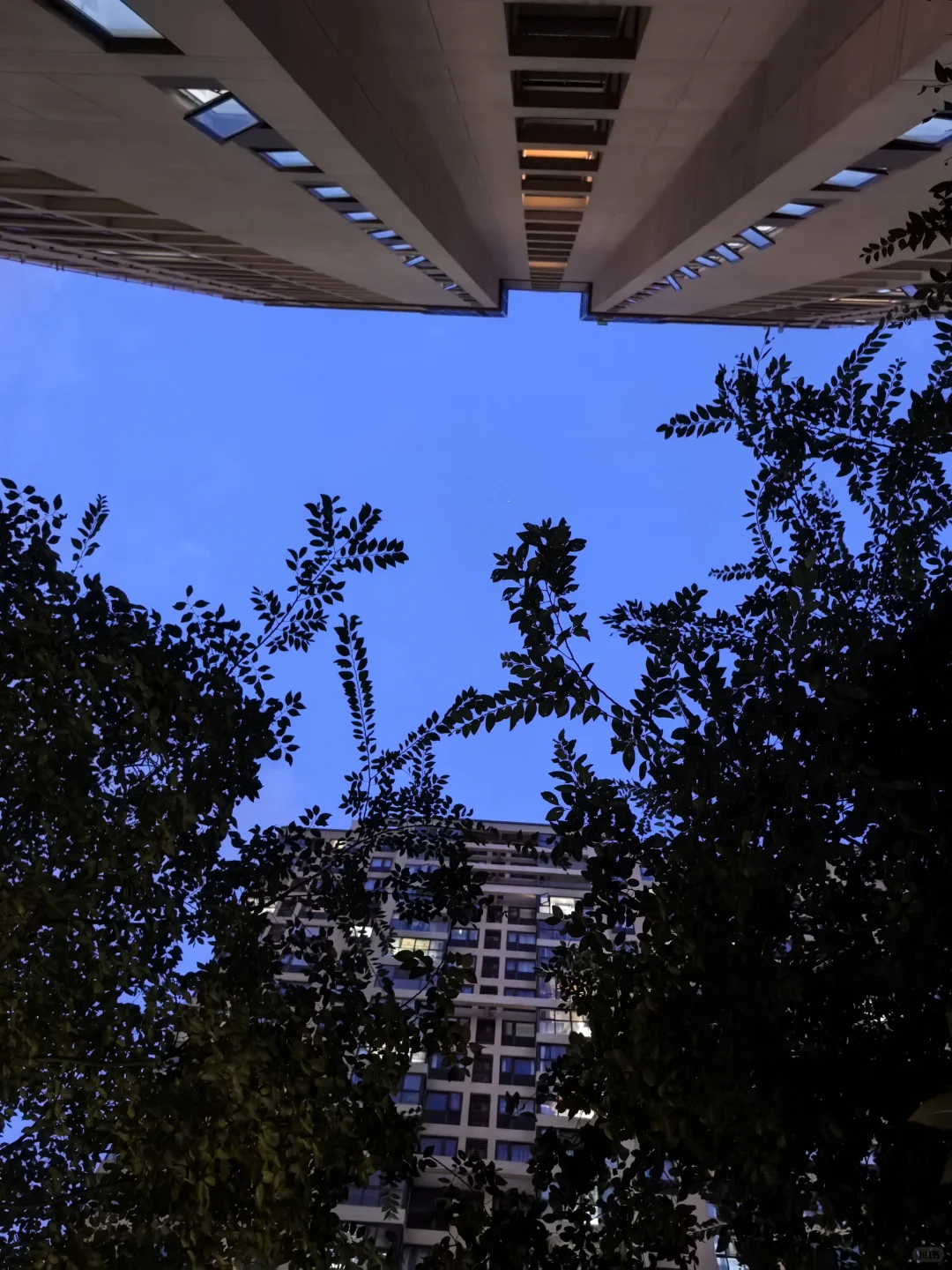 五指投资法